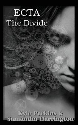 Ecta: The Divide