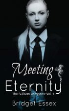 Meeting Eternity (The Sullivan Vampires, Volume 1: Books 1-3)