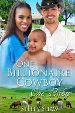 One Billionaire Cowboy, One Baby: A BWWM Western Pregnancy Romance For Adults