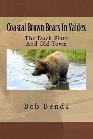 Coastal Brown Bears In Valdez: The Duck Flats And Old Town