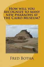 How will you recognize so many new pharaohs at the Cairo Museum?