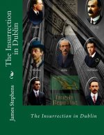 The Insurrection in Dublin
