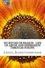 No Rhyme or Reason - Life of Abuse and Depression through Poetry.: Adult Poetry describing my Journey through a Life of Abuse, Major Depressive Disord