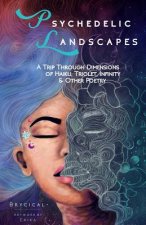 Psychedelic Landscapes: A Trip Through Dimensions of Haiku, Triolet, Infinity & Other Poetry