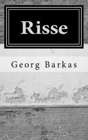 Risse: Eine Erinnerung