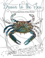 Drawn to the Sea: A Colouring Book of Sea Forms