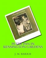 Peter Pan in Kensington gardens (1906) by: J.M.Barrie