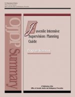 Juvenile Intensive Supervision: Planning Guide