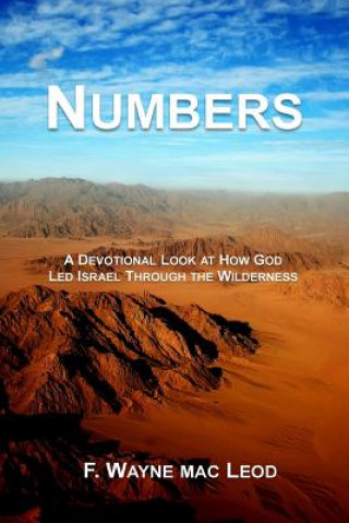 Numbers: A Devotional Look at How God Led Isreal Through the Wilderness