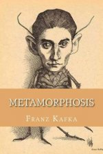 Metamorphosis (English Edition)