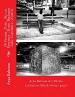 06 Vienna, Paris, Aix en Provence, Rom Budapest, Lake Constance, Zurich: Arya Bahram Art Photos Collection (Black/white/ gray)