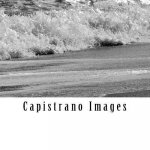 Capistrano Images