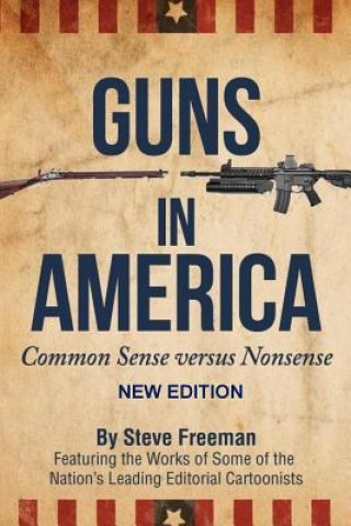 Guns In America: : Common Sense versus Nonsense