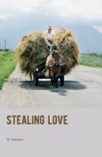 Stealing love