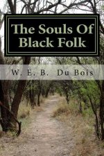 The Souls Of Black Folk
