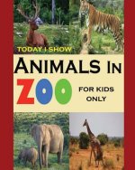 Today I Show: Animals In Zoo For Kids Only