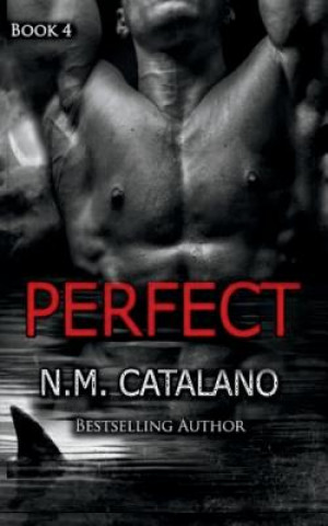 Perfect: Book 4