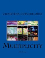 Multiplicity: The Journey