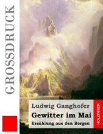 Gewitter im Mai (Großdruck): Erzählung aus den Bergen