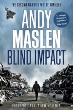 Blind Impact: The second Gabriel Wolfe thriller