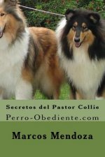 Secretos del Pastor Collie: Perro-Obediente.com