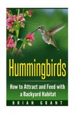 Hummingbirds: How to Attract and Feed with a Backyard Habitat