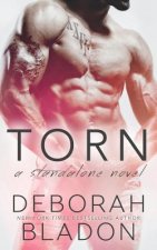TORN - A Standalone Novel