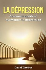 La dépression: Comment guérir et surmonter la dépression
