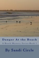 Danger At the Beach