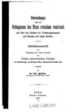 Untersuchungen über die Pathogenese des Ulcus rotundum ventriculi