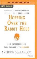 Hopping Over the Rabbit Hole: How Entrepreneurs Turn Failure Into Success