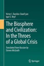 Biosphere and Civilization: In the Throes of a Global Crisis