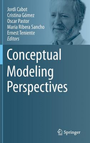 Conceptual Modeling Perspectives