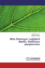 Mite Destroyer Ladybird Beetle, Stethorus pauperculus