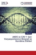 eNOS ve CAV-1 Gen Varyasyonlarinin Bireysel ve Kombine Etkileri