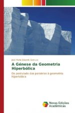 A Génese da Geometria Hiperbólica