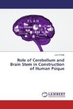 Role of Cerebellum and Brain Stem in Construction of Human Psique