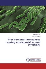 Pseudomonas aeruginosa causing nosocomial wound infections