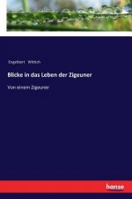 Blicke in das Leben der Zigeuner