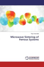 Microwave Sintering of Ferrous Systems
