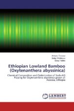 Ethiopian Lowland Bamboo (Oxytenanthera abyssinica)