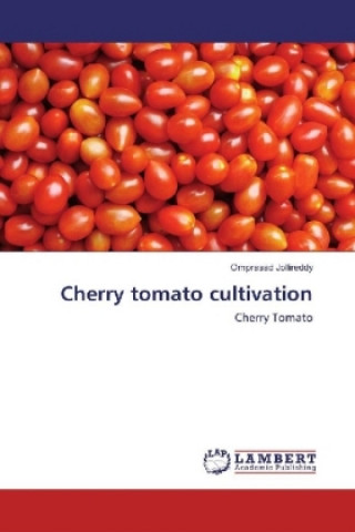 Cherry tomato cultivation