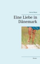 Eine Liebe in Danemark