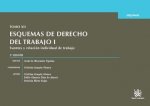 Tomo XII, esquemas de derecho del trabajo I : fuentes y relación individual de trabajo