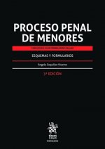 Proceso penal de menores