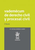 Vademécum de derecho civil y procesal civil