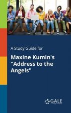 Study Guide for Maxine Kumin's Address to the Angels