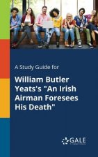 Study Guide for William Butler Yeats's an Irish Airman Foresees His Death