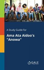 Study Guide for Ama Ata Aidoo's Anowa