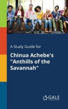 Study Guide for Chinua Achebe's 